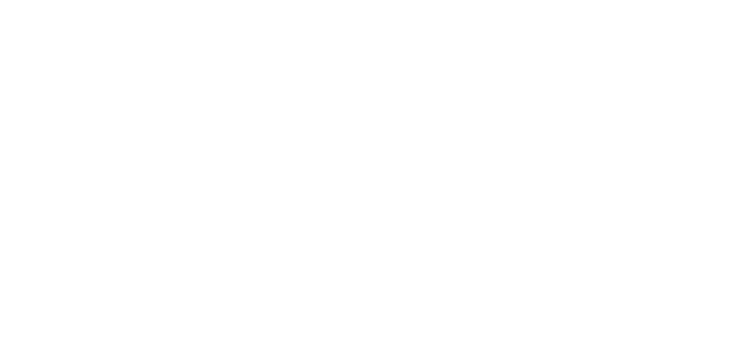 Felix Machts Logo